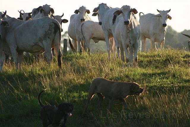 Februar 2013 090.JPG - So Kleine, die Viecher sind sortiert.... jetzt geht es gen Heimat...